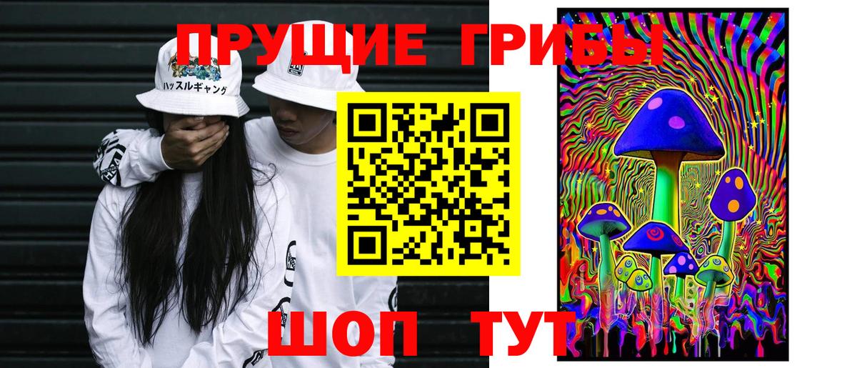 Шадринск  Галлюциногенные грибы Magic Shrooms  Вход с VPN 