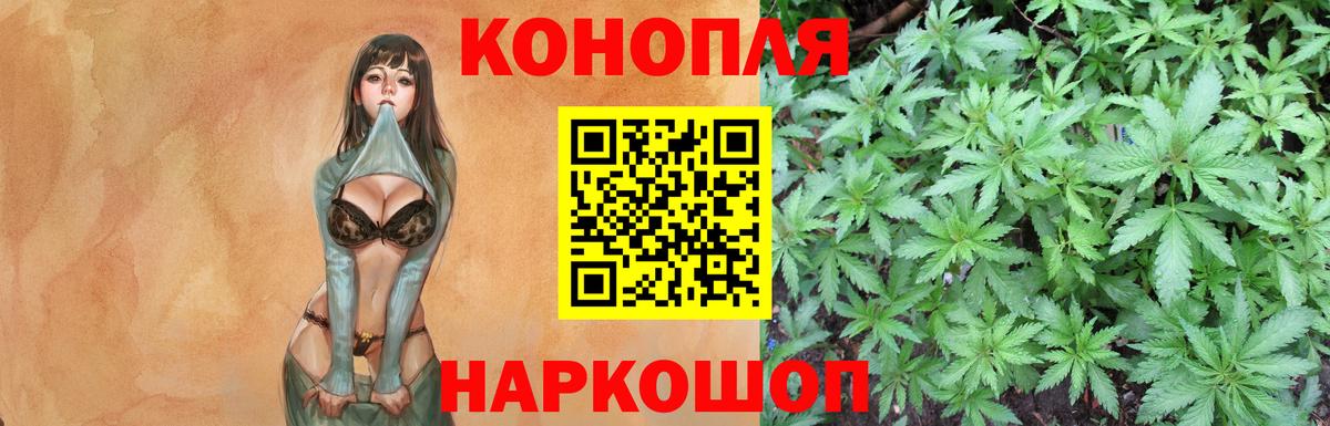 Шишки марихуана ГИДРОПОН  Конопля сатива  Вход с VPN  Шадринск 